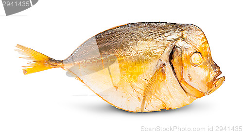 Image of Single Smoked Moonfish