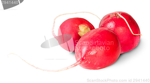 Image of Three Fresh Radishes