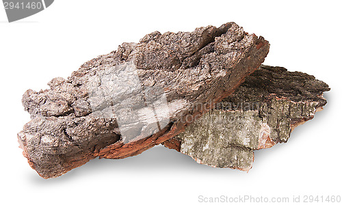 Image of Pieces Of Dry Bark Of Birch And Oak