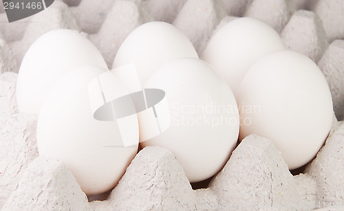Image of Six White Eggs On The Tray