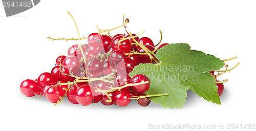 Image of Bunch Of Red Currants With Currant Leaves Rotated