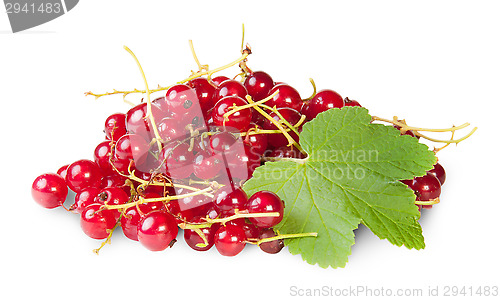 Image of Bunch Of Red Currants With Currant Leaves