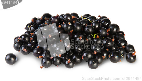 Image of Fresh Black Currant Rotated