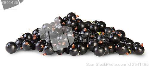 Image of Fresh Black Currant