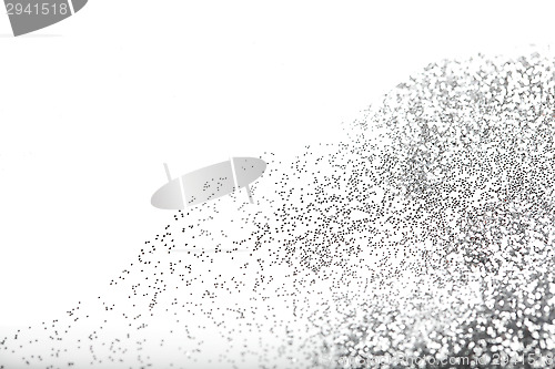 Image of Silver glitter