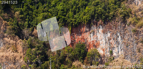 Image of Trees and limestone rocks, Thailand