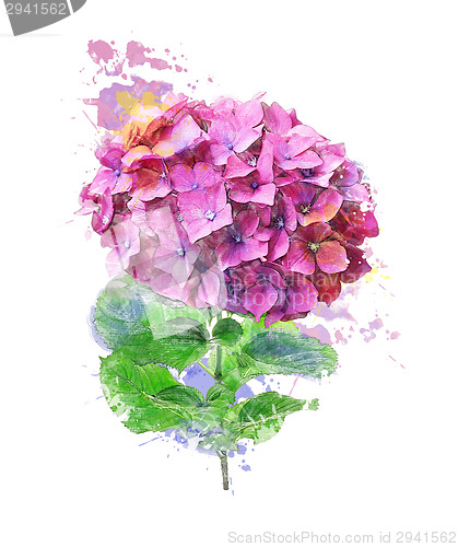 Image of Watercolor Image Of Hydrangea Flower