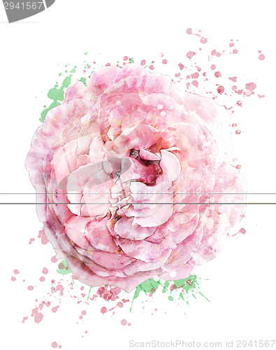 Image of Watercolor Image Of Rose