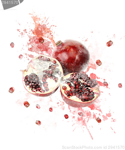 Image of Watercolor Image Of Pomegranate