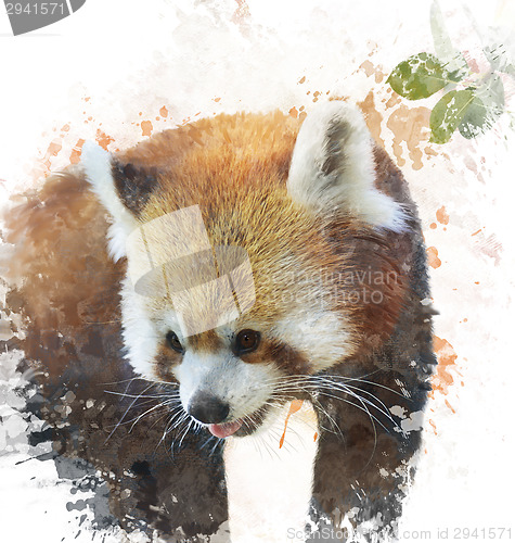 Image of Watercolor Image Of  Red Panda