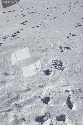 Image of Footprints