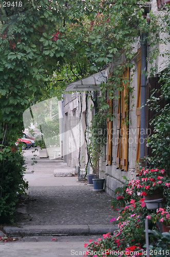 Image of Flowered walkway