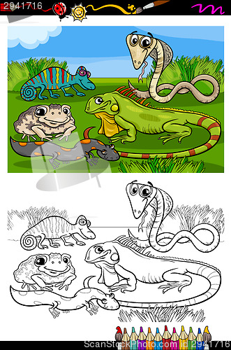 Image of reptiles and amphibians coloring book