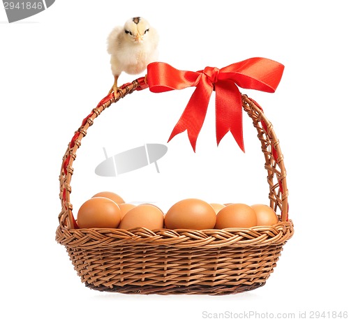 Image of Chickens with basket