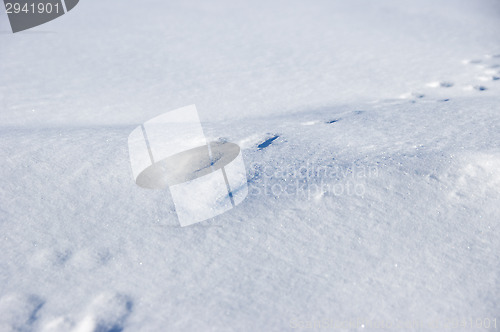 Image of Footprints