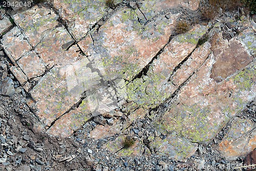 Image of Background of natural rock with lichen