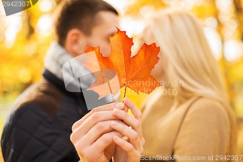 Image of close up of couple kissing in autumn park