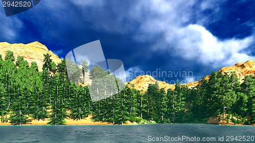 Image of Siberian taiga