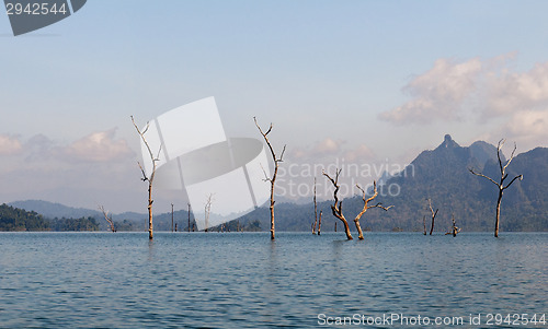 Image of Cheow Lan Lake or Rajjaprabha Dam Reservoir, Thailand