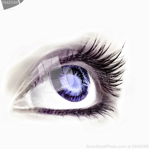 Image of Great big eye.