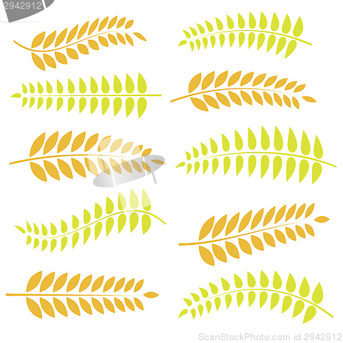 Image of autumn leaves
