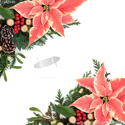 Image of Poinsettia Floral Border