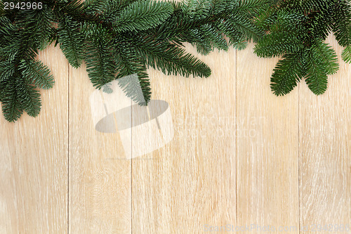 Image of Fir Leaf Border