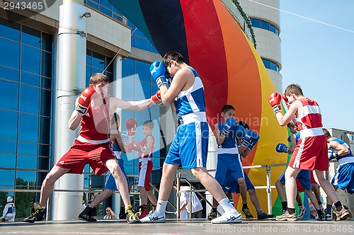 Image of The boys busy in boxing