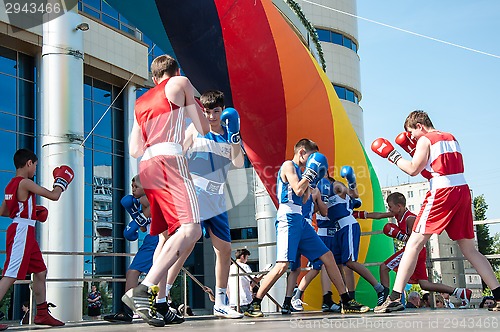 Image of The boys busy in boxing