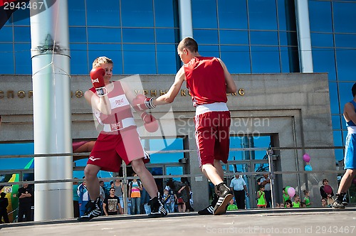 Image of The boys busy in boxing