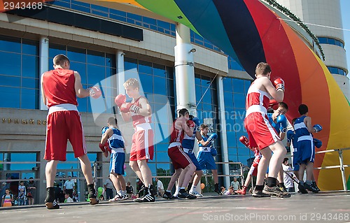 Image of The boys busy in boxing