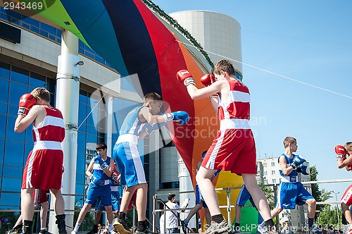 Image of The boys busy in boxing