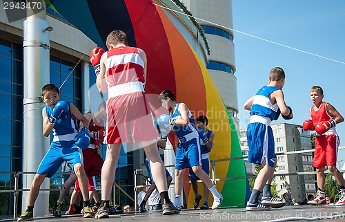 Image of The boys busy in boxing