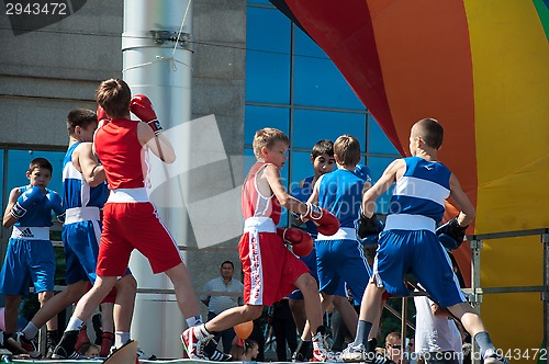 Image of The boys busy in boxing