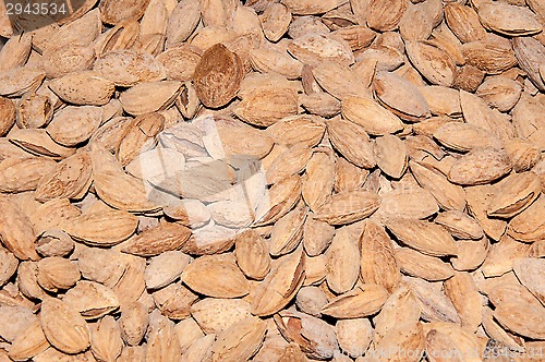 Image of Fruit almonds or Prunus dulcis