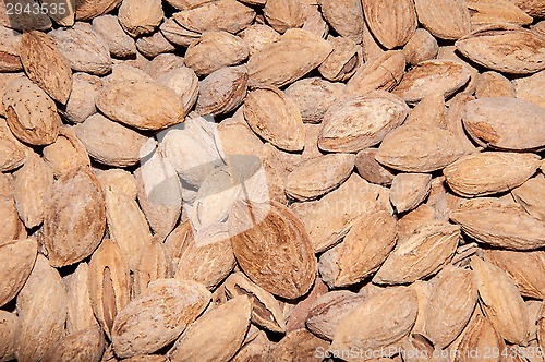 Image of Fruit almonds or Prunus dulcis