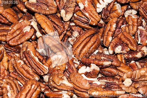 Image of Pecan nut or Carya illinoinensis 