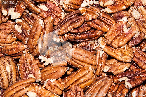 Image of Pecan nut or Carya illinoinensis 