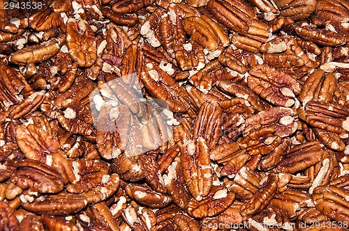 Image of Pecan nut or Carya illinoinensis 