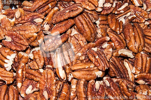 Image of Pecan nut or Carya illinoinensis 