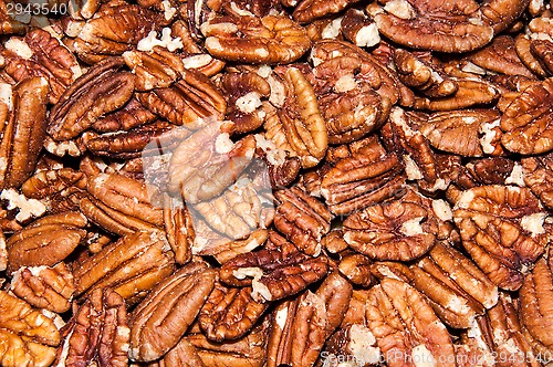 Image of Pecan nut or Carya illinoinensis 