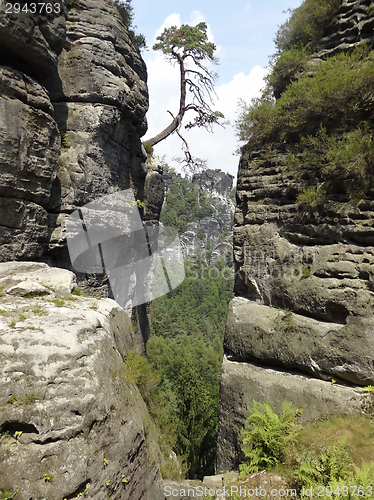 Image of Saxon Switzerland