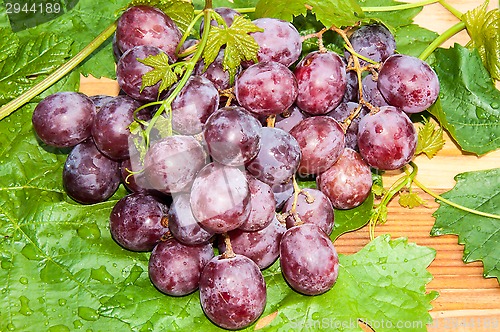 Image of Bunch of grapes