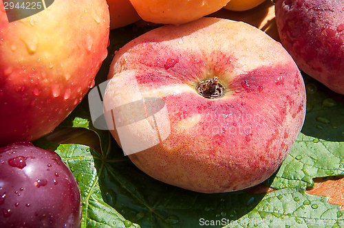 Image of Fig peach