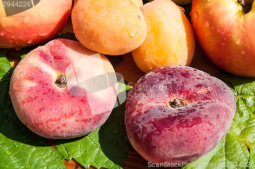 Image of Fig peach