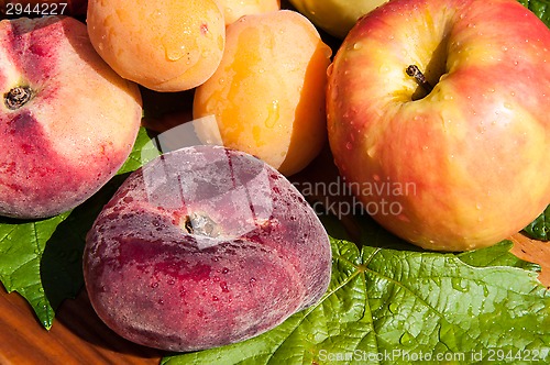 Image of Fig peach