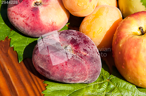 Image of Fig peach
