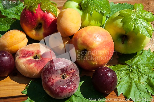 Image of Fig peach