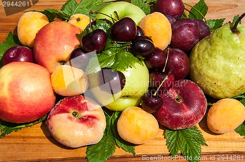 Image of Fruit tree fruit,