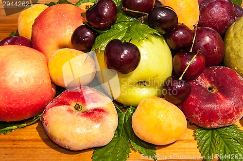 Image of Fruit tree fruit,